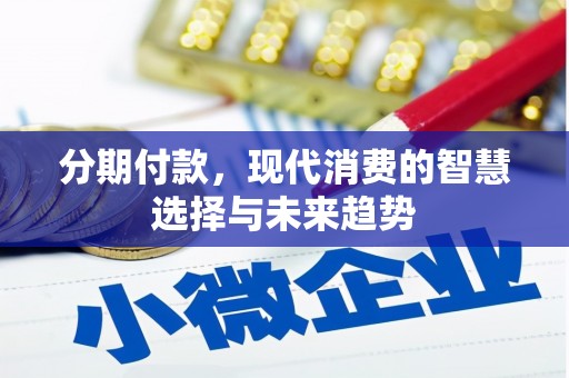 芙蓉分期付款，现代消费的智慧选择与未来趋势