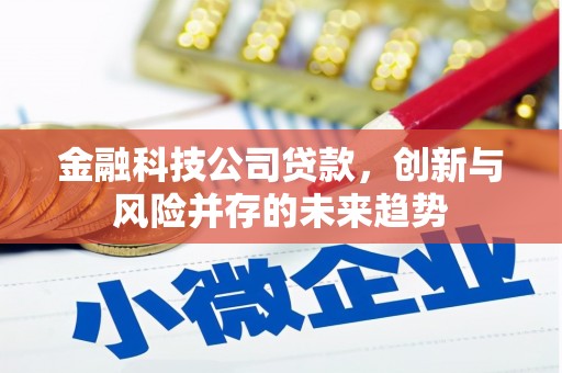 芙蓉金融科技公司贷款，创新与风险并存的未来趋势