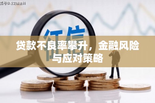 芙蓉贷款不良率攀升，金融风险与应对策略