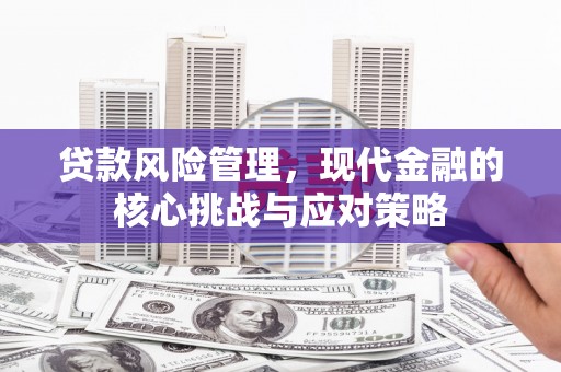 芙蓉贷款风险管理，现代金融的核心挑战与应对策略