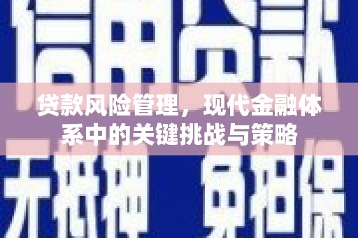 芙蓉贷款风险管理，现代金融体系中的关键挑战与策略