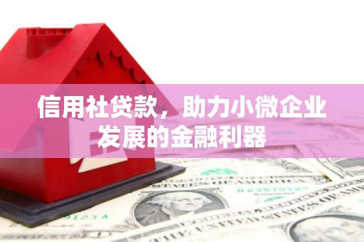 芙蓉信用社贷款，助力小微企业发展的金融利器