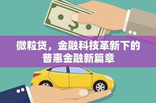 芙蓉微粒贷，金融科技革新下的普惠金融新篇章