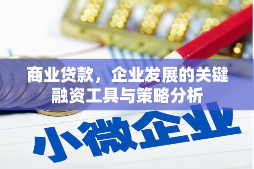 芙蓉商业贷款，企业发展的关键融资工具与策略分析