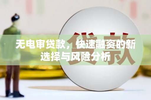 芙蓉无电审贷款，快速融资的新选择与风险分析