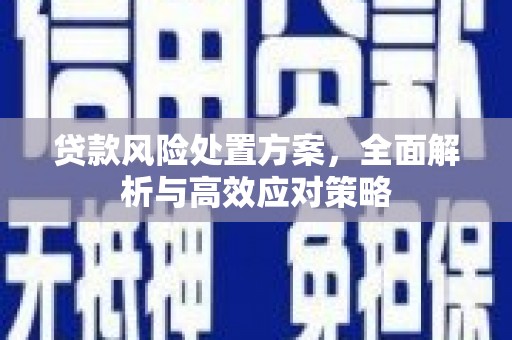 芙蓉贷款风险处置方案，全面解析与高效应对策略
