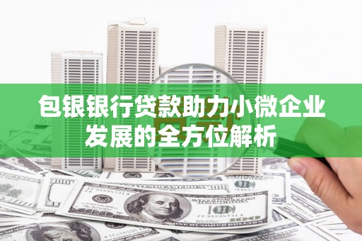 芙蓉包银银行贷款助力小微企业发展的全方位解析