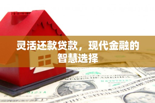 芙蓉灵活还款贷款，现代金融的智慧选择