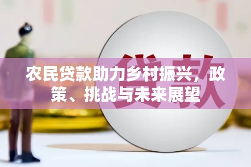 芙蓉农民贷款助力乡村振兴，政策、挑战与未来展望