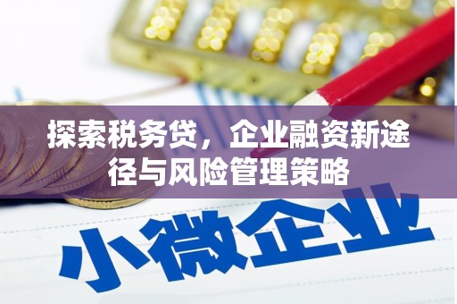 芙蓉探索税务贷，企业融资新途径与风险管理策略