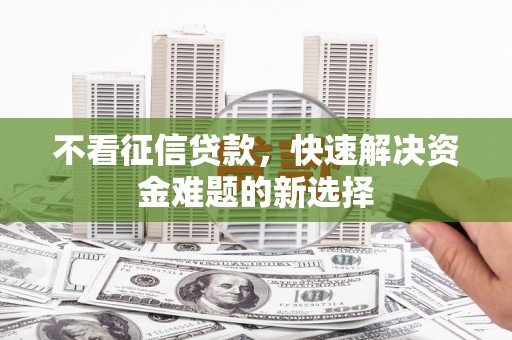 芙蓉不看征信贷款，快速解决资金难题的新选择
