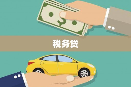 芙蓉税务贷