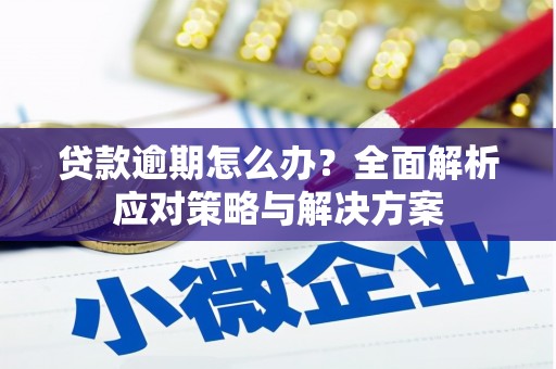芙蓉贷款逾期怎么办？全面解析应对策略与解决方案