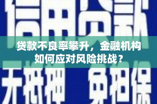 芙蓉贷款不良率攀升，金融机构如何应对风险挑战？