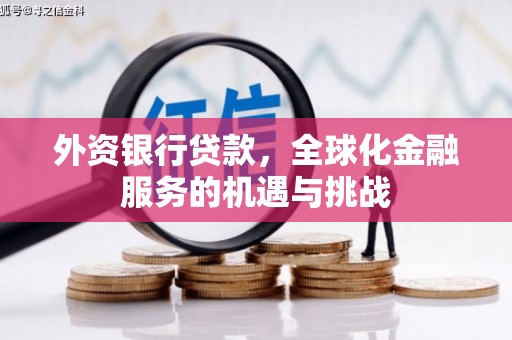 芙蓉外资银行贷款，全球化金融服务的机遇与挑战