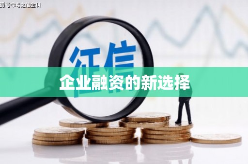 芙蓉企业融资的新选择