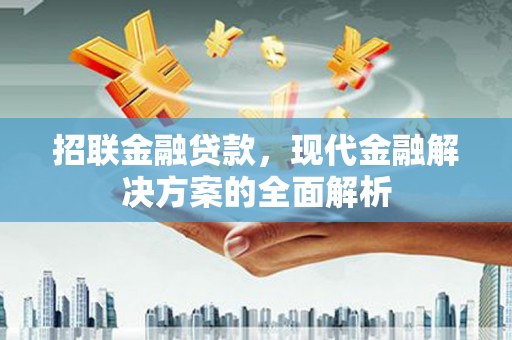 芙蓉招联金融贷款，现代金融解决方案的全面解析