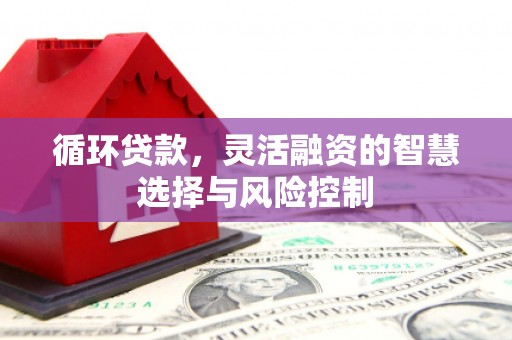 芙蓉循环贷款，灵活融资的智慧选择与风险控制