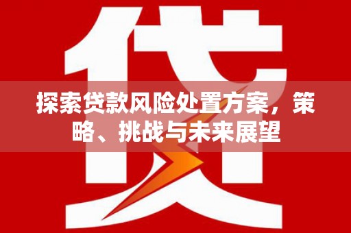 芙蓉探索贷款风险处置方案，策略、挑战与未来展望