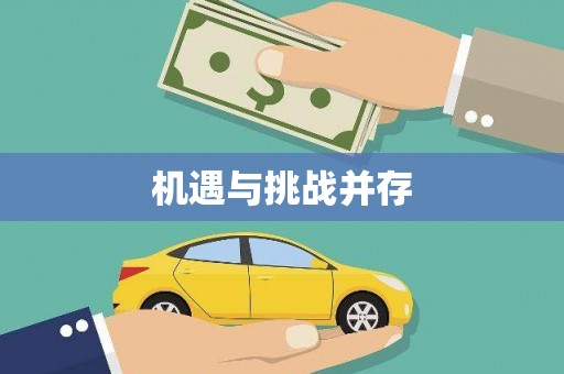 芙蓉机遇与挑战并存