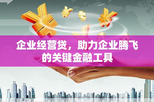 芙蓉企业经营贷，助力企业腾飞的关键金融工具
