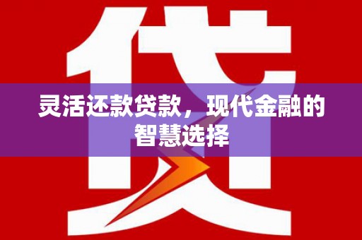芙蓉灵活还款贷款，现代金融的智慧选择