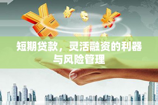 芙蓉短期贷款，灵活融资的利器与风险管理
