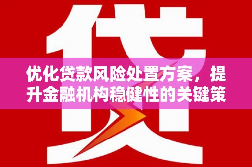 芙蓉优化贷款风险处置方案，提升金融机构稳健性的关键策略