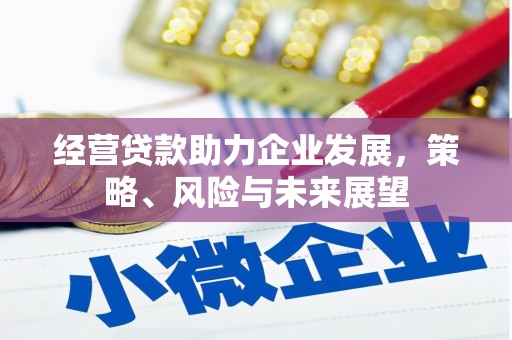 芙蓉经营贷款助力企业发展，策略、风险与未来展望