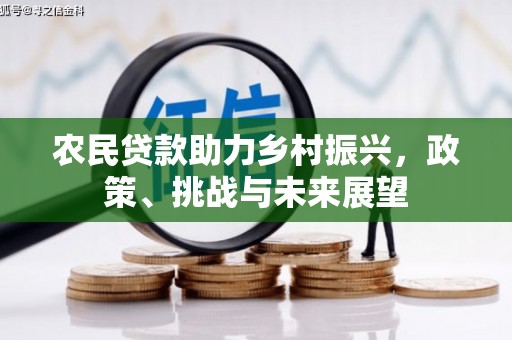 芙蓉农民贷款助力乡村振兴，政策、挑战与未来展望