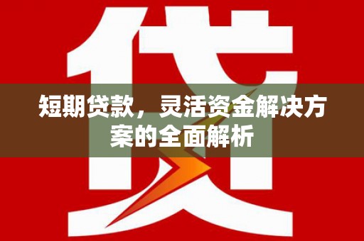 芙蓉短期贷款，灵活资金解决方案的全面解析