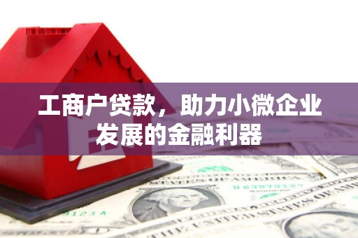 芙蓉工商户贷款，助力小微企业发展的金融利器