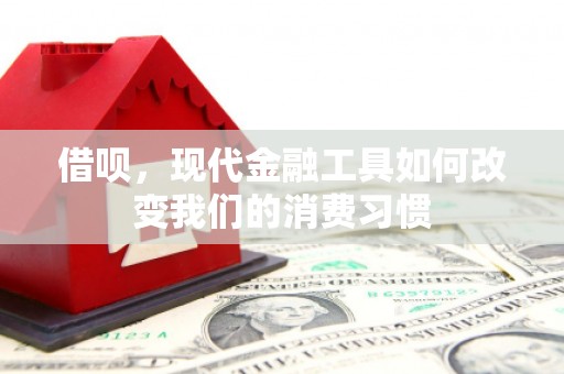 芙蓉借呗，现代金融工具如何改变我们的消费习惯