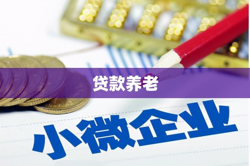 芙蓉贷款养老