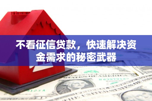 芙蓉不看征信贷款，快速解决资金需求的秘密武器