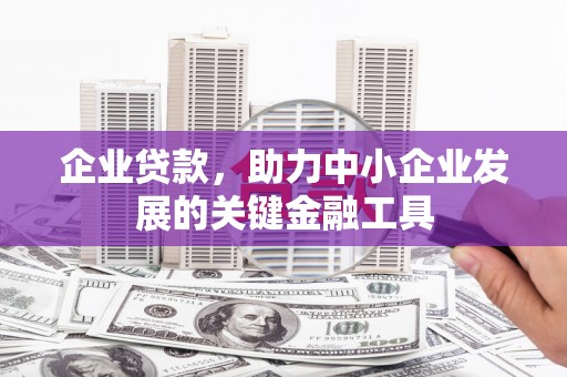 芙蓉企业贷款，助力中小企业发展的关键金融工具