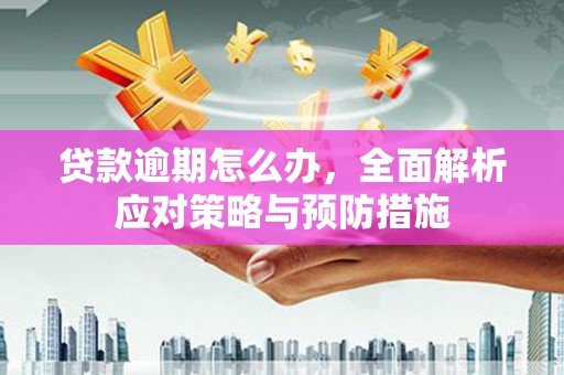 芙蓉贷款逾期怎么办，全面解析应对策略与预防措施