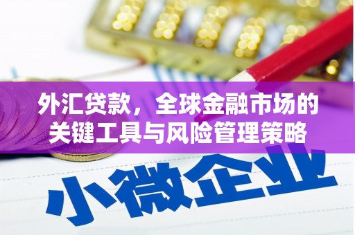 芙蓉外汇贷款，全球金融市场的关键工具与风险管理策略