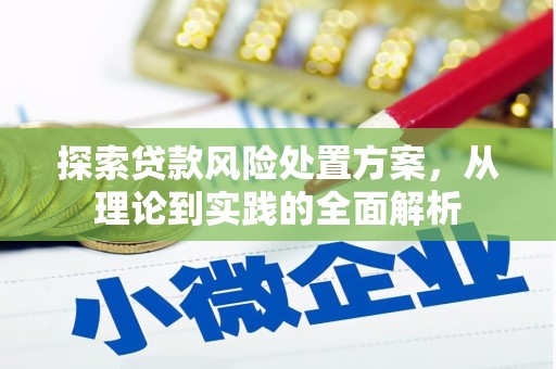 芙蓉探索贷款风险处置方案，从理论到实践的全面解析
