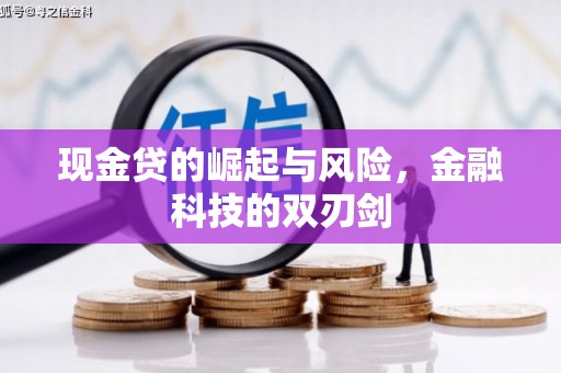 芙蓉现金贷的崛起与风险，金融科技的双刃剑