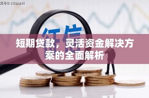 芙蓉短期贷款，灵活资金解决方案的全面解析
