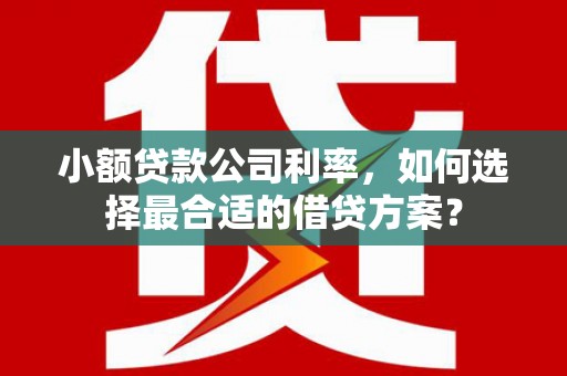 芙蓉小额贷款公司利率，如何选择最合适的借贷方案？