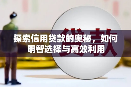 芙蓉探索信用贷款的奥秘，如何明智选择与高效利用