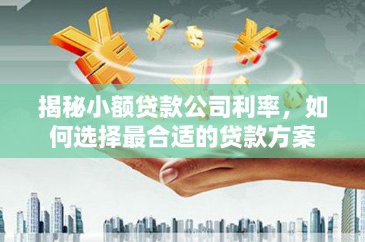 芙蓉揭秘小额贷款公司利率，如何选择最合适的贷款方案