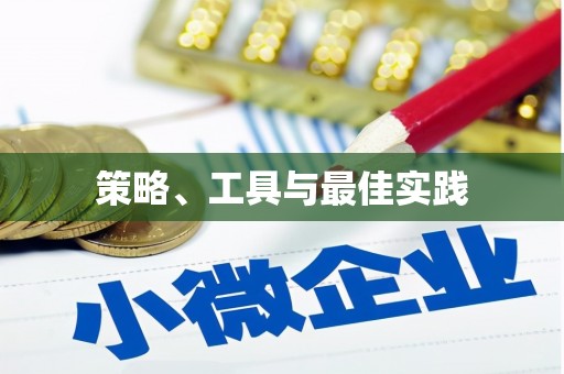 芙蓉策略、工具与最佳实践