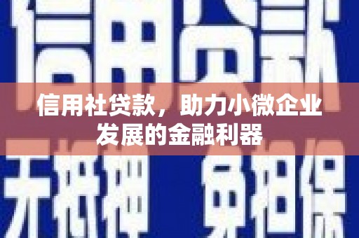 芙蓉信用社贷款，助力小微企业发展的金融利器