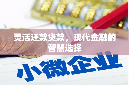 芙蓉灵活还款贷款，现代金融的智慧选择