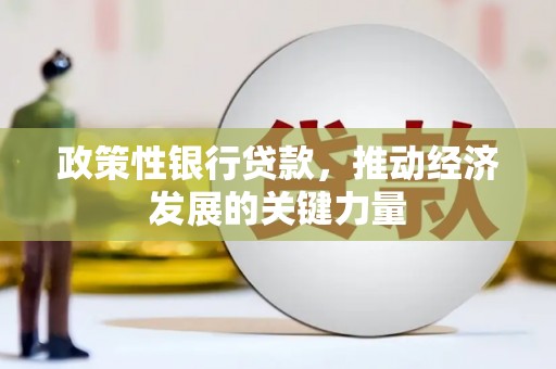 芙蓉政策性银行贷款，推动经济发展的关键力量