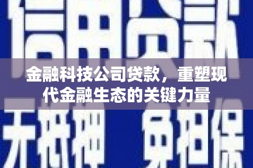 芙蓉金融科技公司贷款，重塑现代金融生态的关键力量