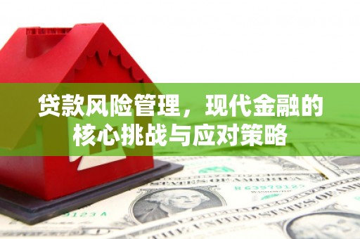 芙蓉贷款风险管理，现代金融的核心挑战与应对策略